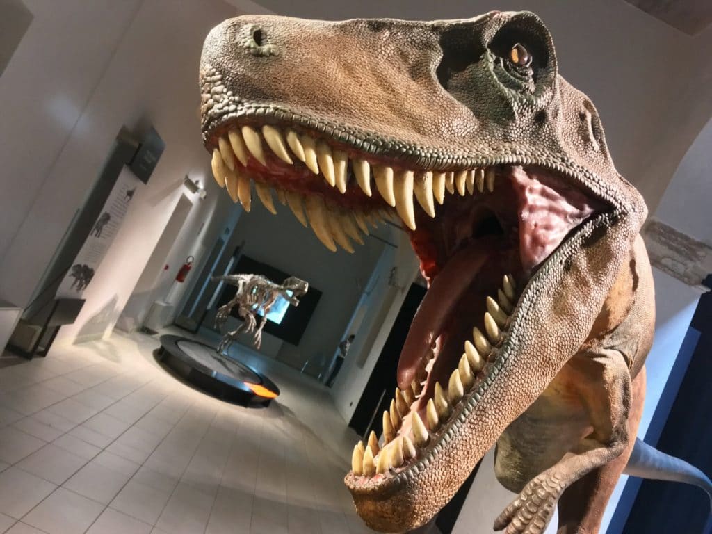 dinosaurio t rex representado en un lugar temporal exposición t20 ne6EyA